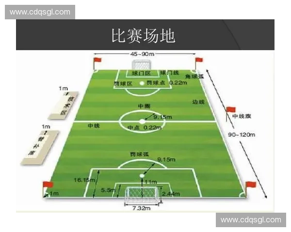 足球比赛违规行为及其处罚机制分析与对策探讨